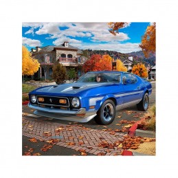 FORD MUSTANG BOSS 351 1:25