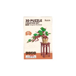 EVERGREEN PINE BONSAI