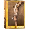 PUZZLE 1000 P. GIRAFFE MOTHER´S KISS