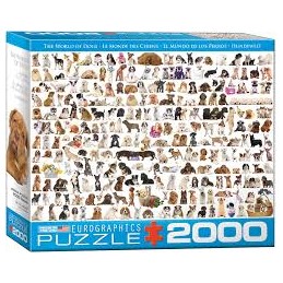 PUZZLE 2000 P. THE WORLD OF...
