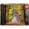 PUZZLE 1000 PASEO OTONAL