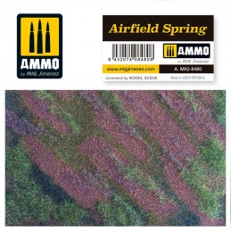AMMO AIRFIELD SPRING